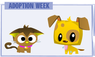 An Adoption Week image featuring a Pet Kitty and a Pet Puppy.