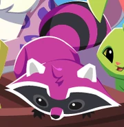 Pinkraccoon.png (17 KB)