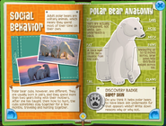 Polar Bearpage4