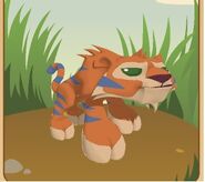 A default tiger's appearance in the clothing selection screen.