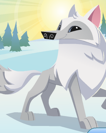 arctic wolf animal jam classic wiki