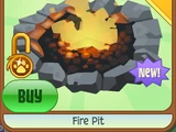 Fire Pit