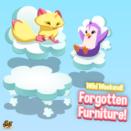 ForgottenFurnitureWildWeekend-DailyExplorer