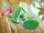 Pet Den Item Shop