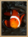 Clownfish.png