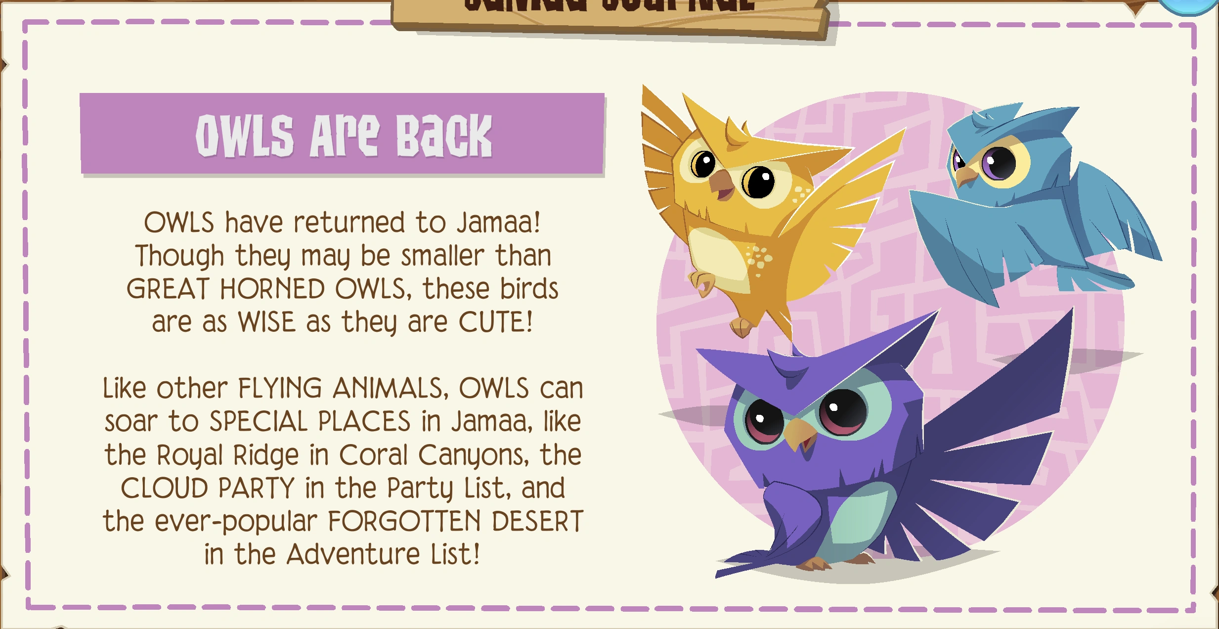 Jamaa journal march 2025 13