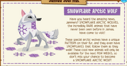 Snowflake Arctic Wolf as part of the Update on Jamaa Journal