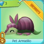 Pet Armadillo on sale in the Diamond Shop.