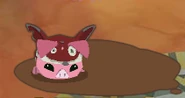 Pig Fox-Hat Glitch