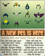 The announcement for the new Pet Bat in Jamaa Journal Volume 44