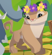 The Cougar wearing a Spring Flower Crown on the homepage