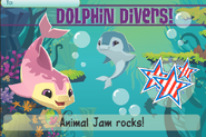 Jam-A-Gram Dolphin-Divers