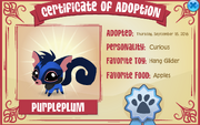 Certificateofpet