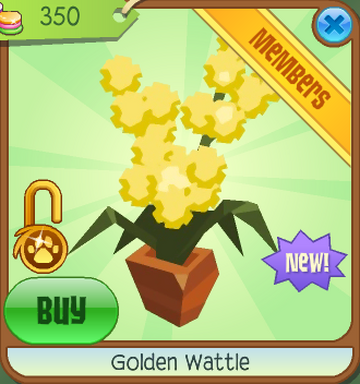Golden Wattle, Animal Jam Classic Wiki