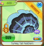 Turkey Tail Feathers 5