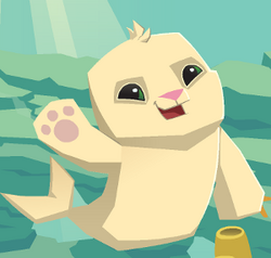 Seal | Animal Jam Classic Wiki | Fandom Seal | Animal Jam Classic Wiki | Fandom