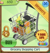 Grocery shopping cart black