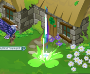 Pot appearing 3