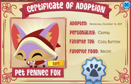 A Rare Pet Fennec Fox Adoption Certificate