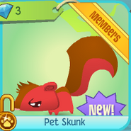 Skunk for sale in the diamond shop