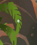 A glitch where you can go behind the rocks