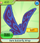 Shop Rare-Butterfly-Wings.png