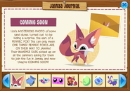 The announcement for Jammers that Fennec Foxes are coming soon as seen in the Jamaa Journal on May 3, 2019.