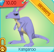 A Kangaroo in the Diamond Shop