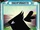 Pet Crow