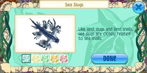 Blue sea swallow (Glaucus atlanticus)