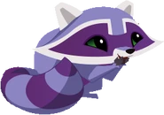 Raccoon laugh.png (43 KB)