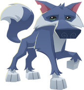 Wolf transparent pic