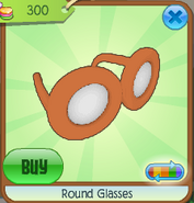 Round glasses7