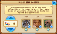 Making donations to the big cats
