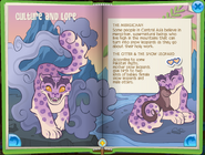 Snow Leopard p6