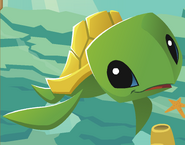 Updated Sea Turtle