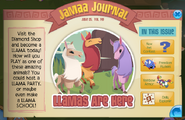 Introducing the llamas in the Jamaa Journal