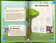 Owl p6