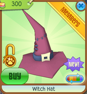 Witch Hat new dark pink