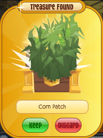 Corn Patch