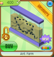 Ant Farm purple