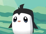 Pet Penguin