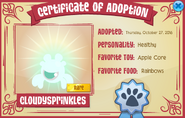 Adoption cert named Rare Pet Phantom