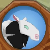 The glitch that happens with a newly-made Moose with the wrong colors.