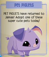 The return of the piglets in the April 27th Update (Note the Pig Animal image rather than the Pet variant.)