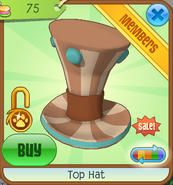 Hat-Shop Top-Hat Brown-Teal