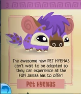 Pet Hyena | Animal Jam Classic Wiki | Fandom