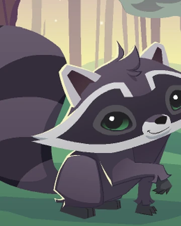 Raccoon Animal Jam Classic Wiki Fandom