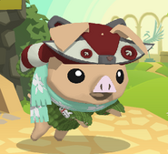 This is a glitch showing a Fox Hat as a Raccoon Hat