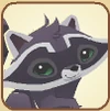Raccoon Profile-0